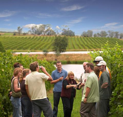 Australian Wine Tour Company