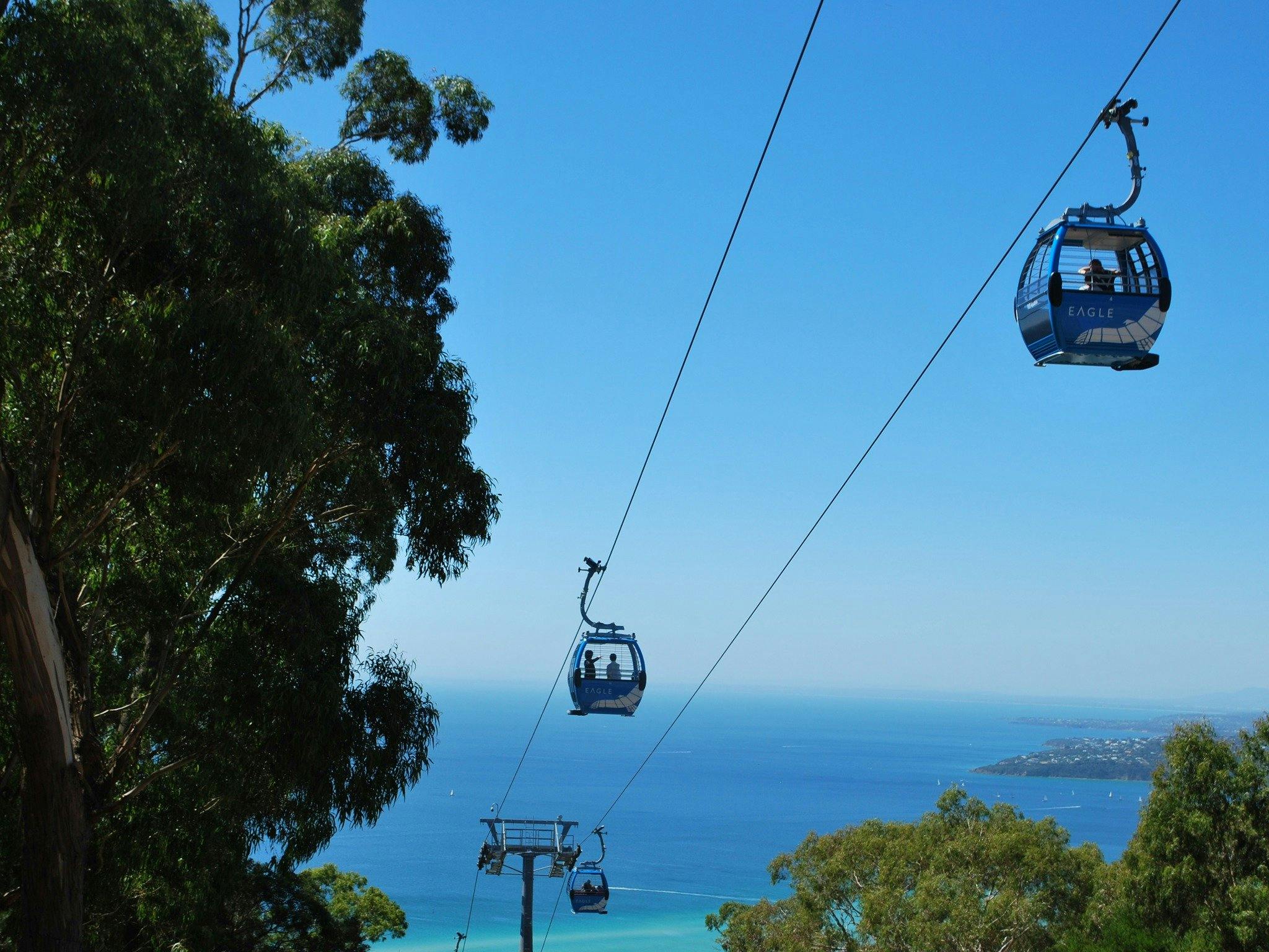 Arthurs Seat Eagle Gondolas 'soaring'