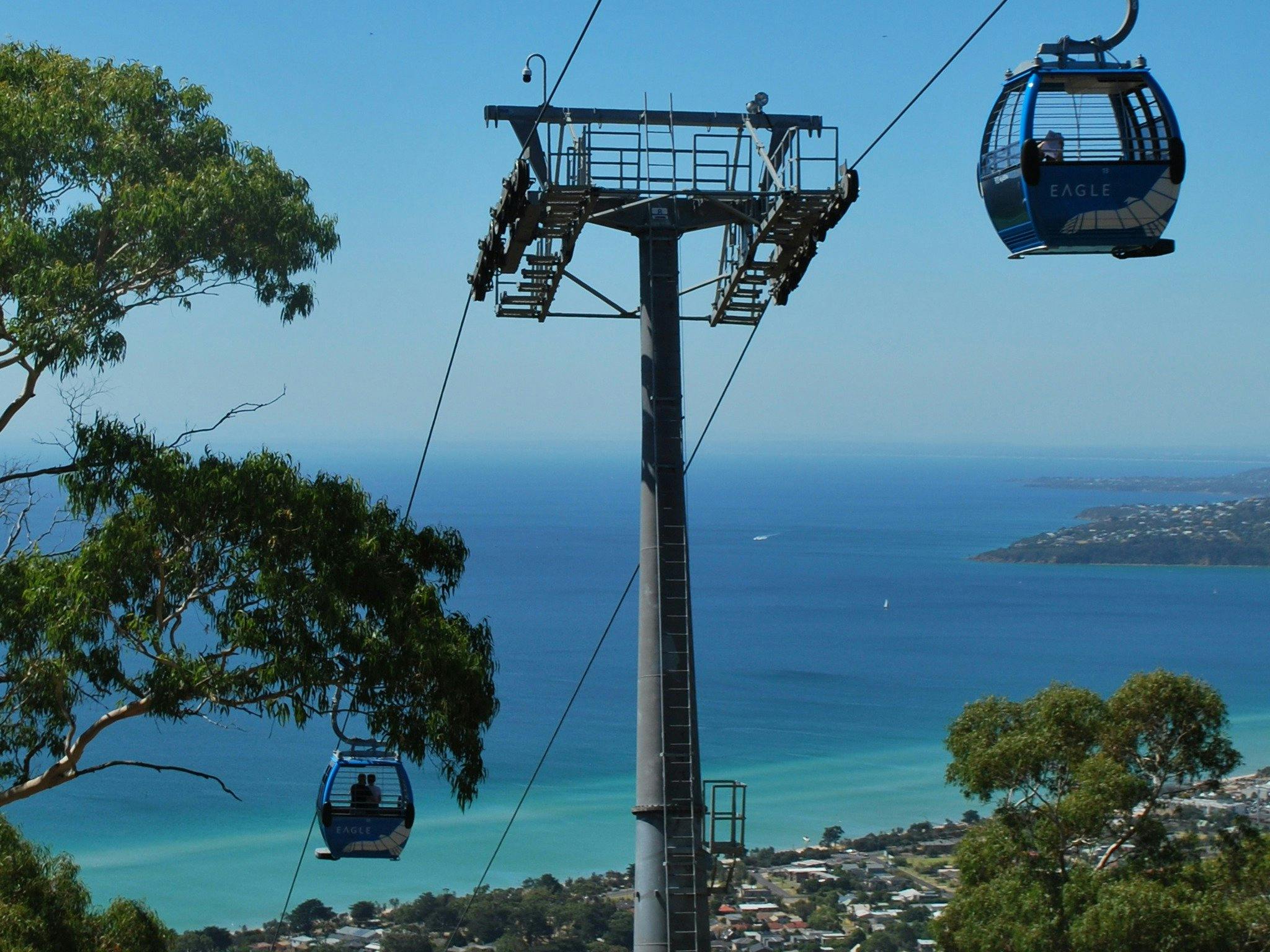 Arthurs Seat Eagle Gondolas 'soaring'