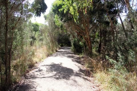 Balbirooroo Wetlands