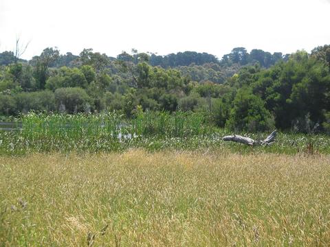 Balbirooroo Wetlands Walk