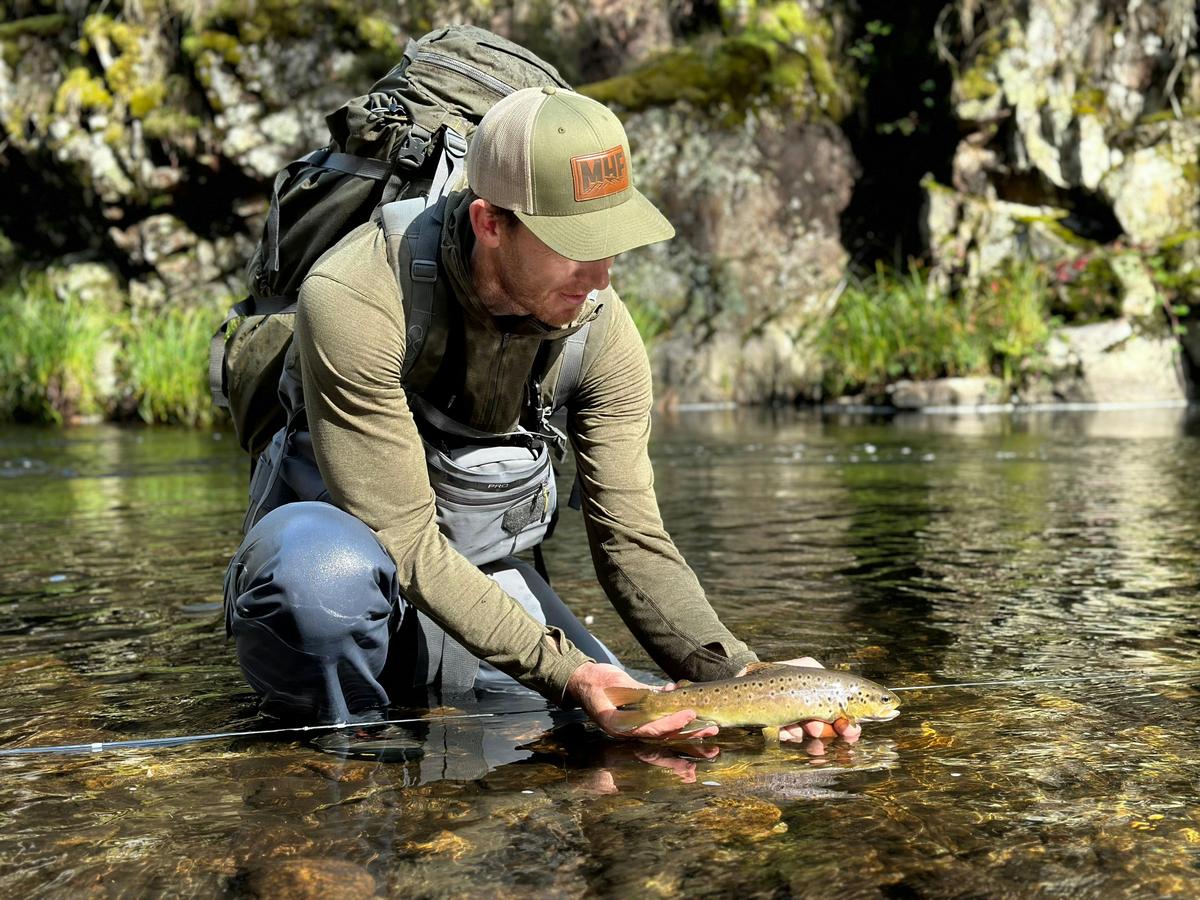 Fly Fishing Brown Trout