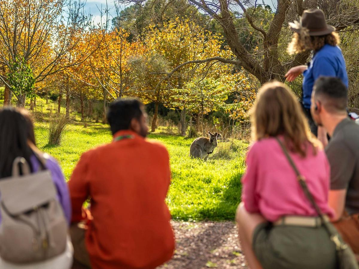 A group of people gather around looking at a kangaroo