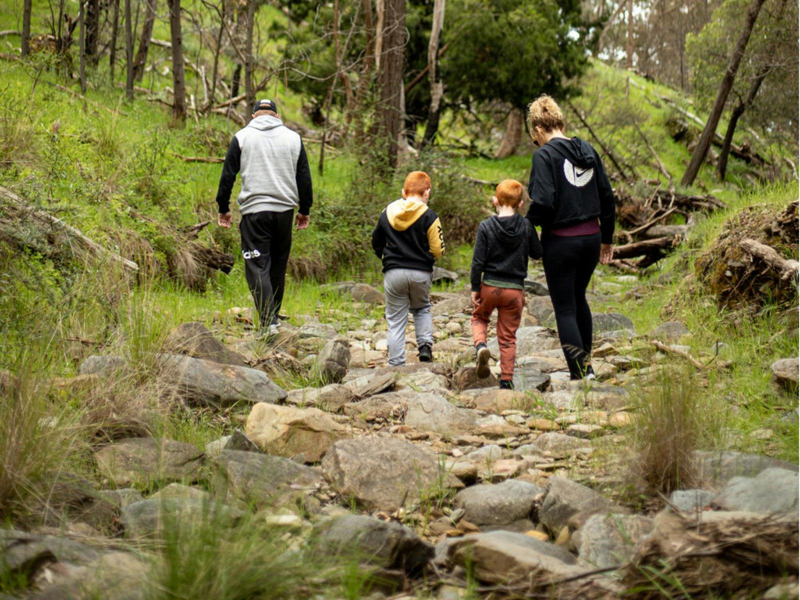 Avoca Waterfalls walk