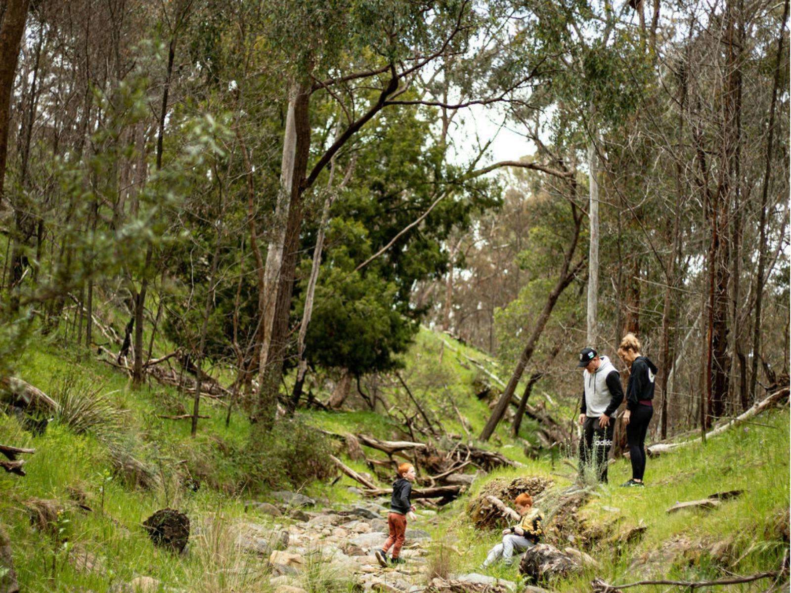 Avoca Waterfalls walk