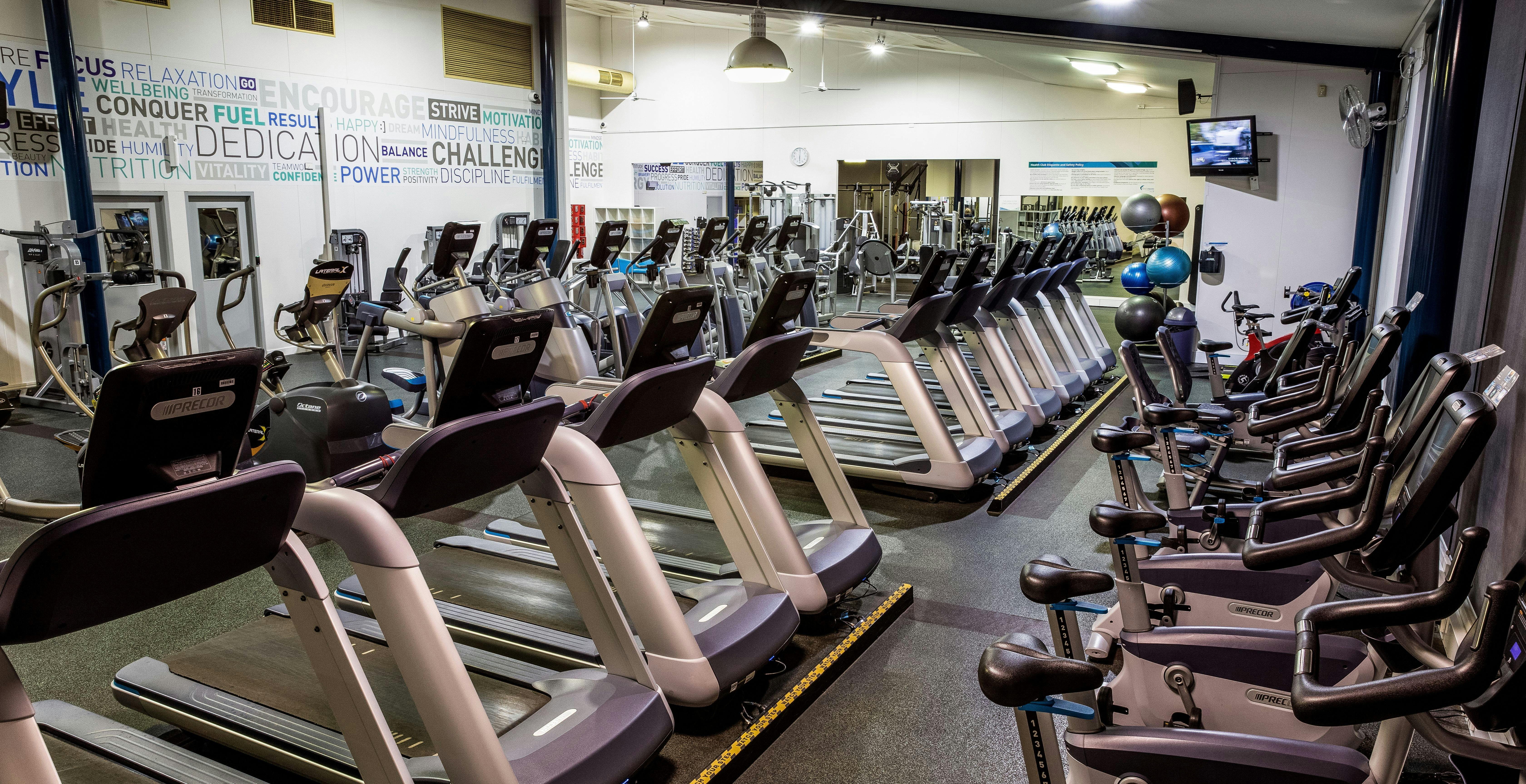 Two rows of treadmills and a row of stationary bikes in the Health Club
