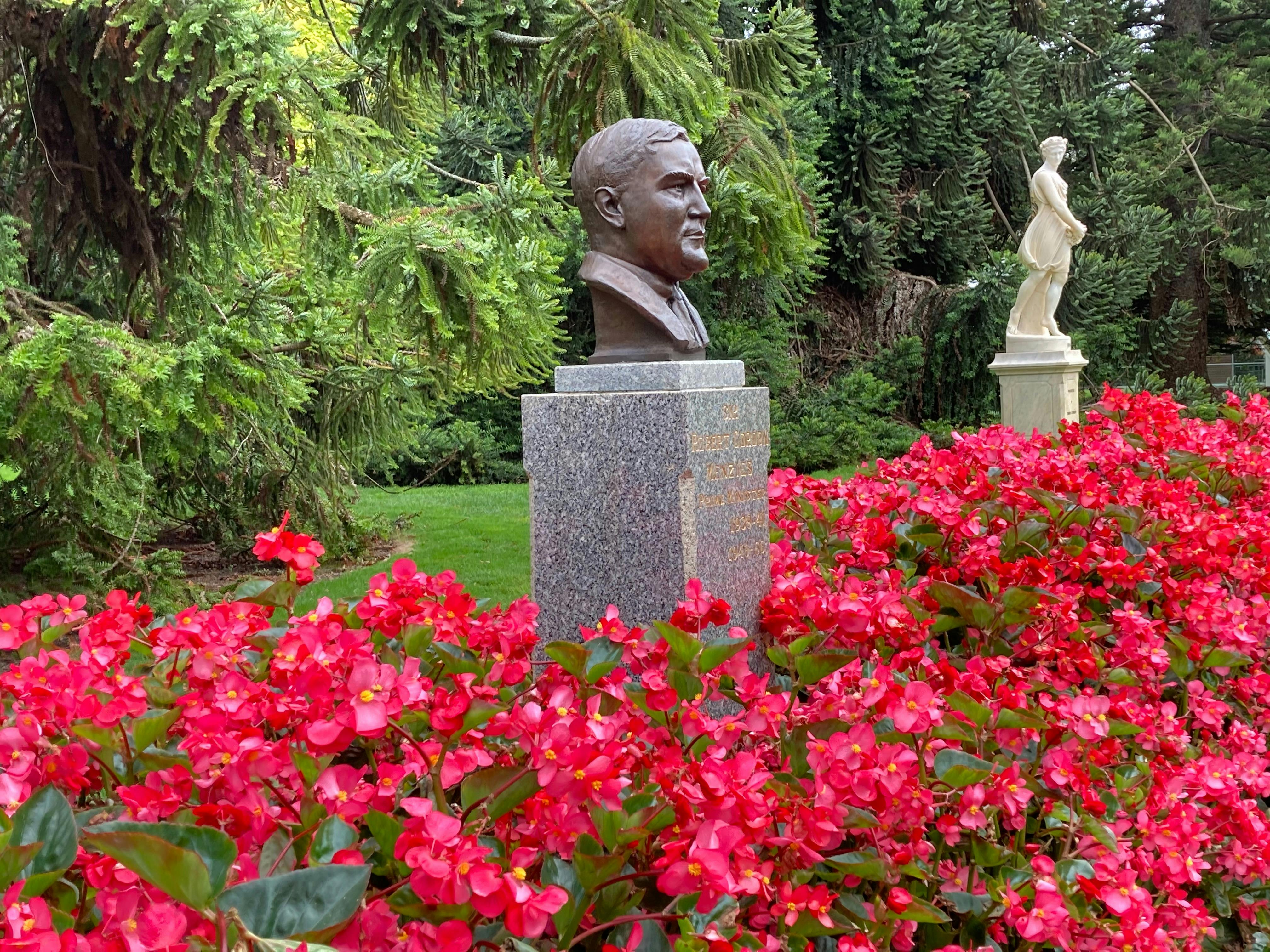 A bust of Robert Gordon Menzies sits on a plinth in a bed of pink flowers