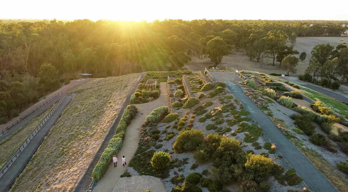 Sunrise at the Australian Botanic Gardens Shepparton