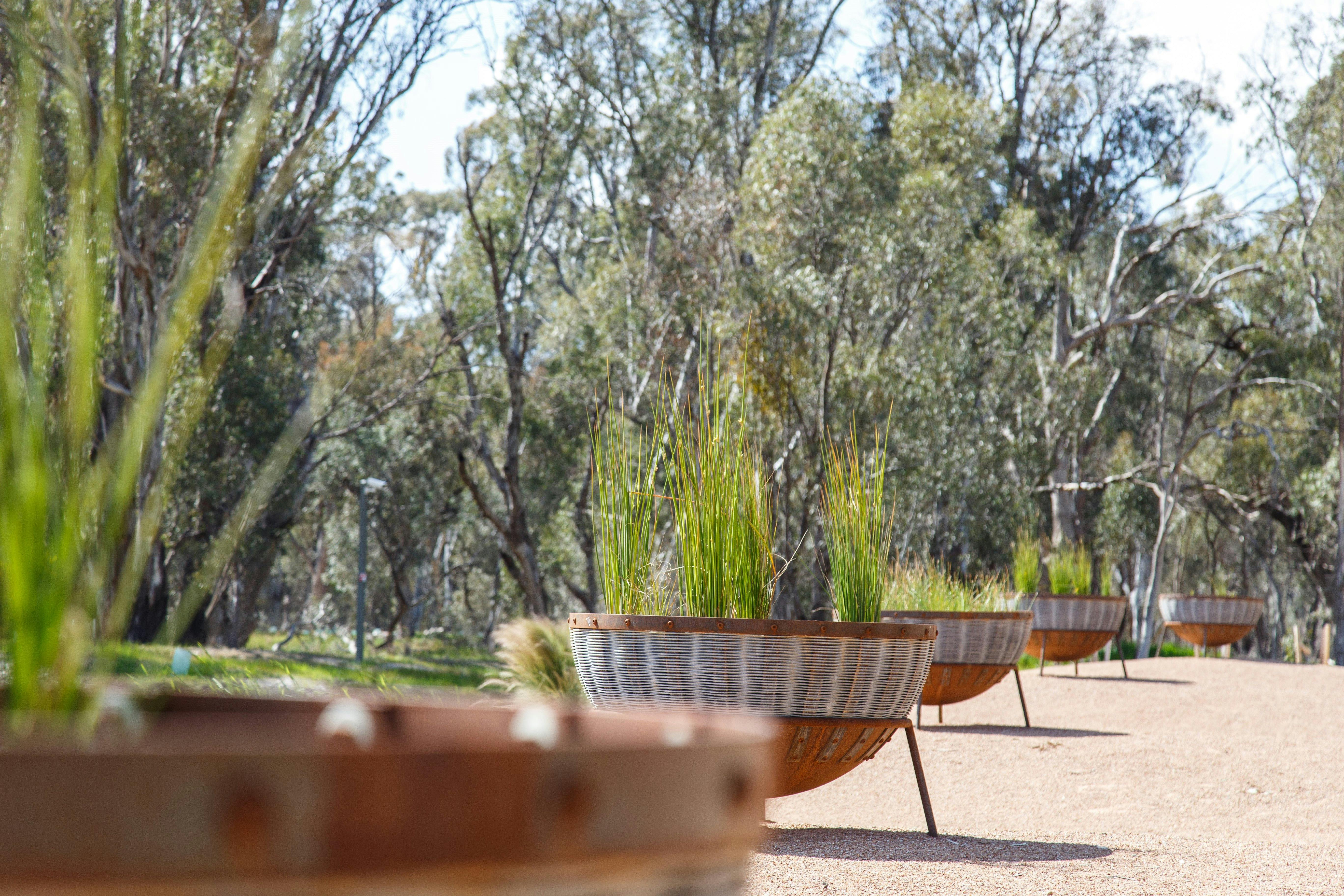 Australian Botanic Gardens Shepparton