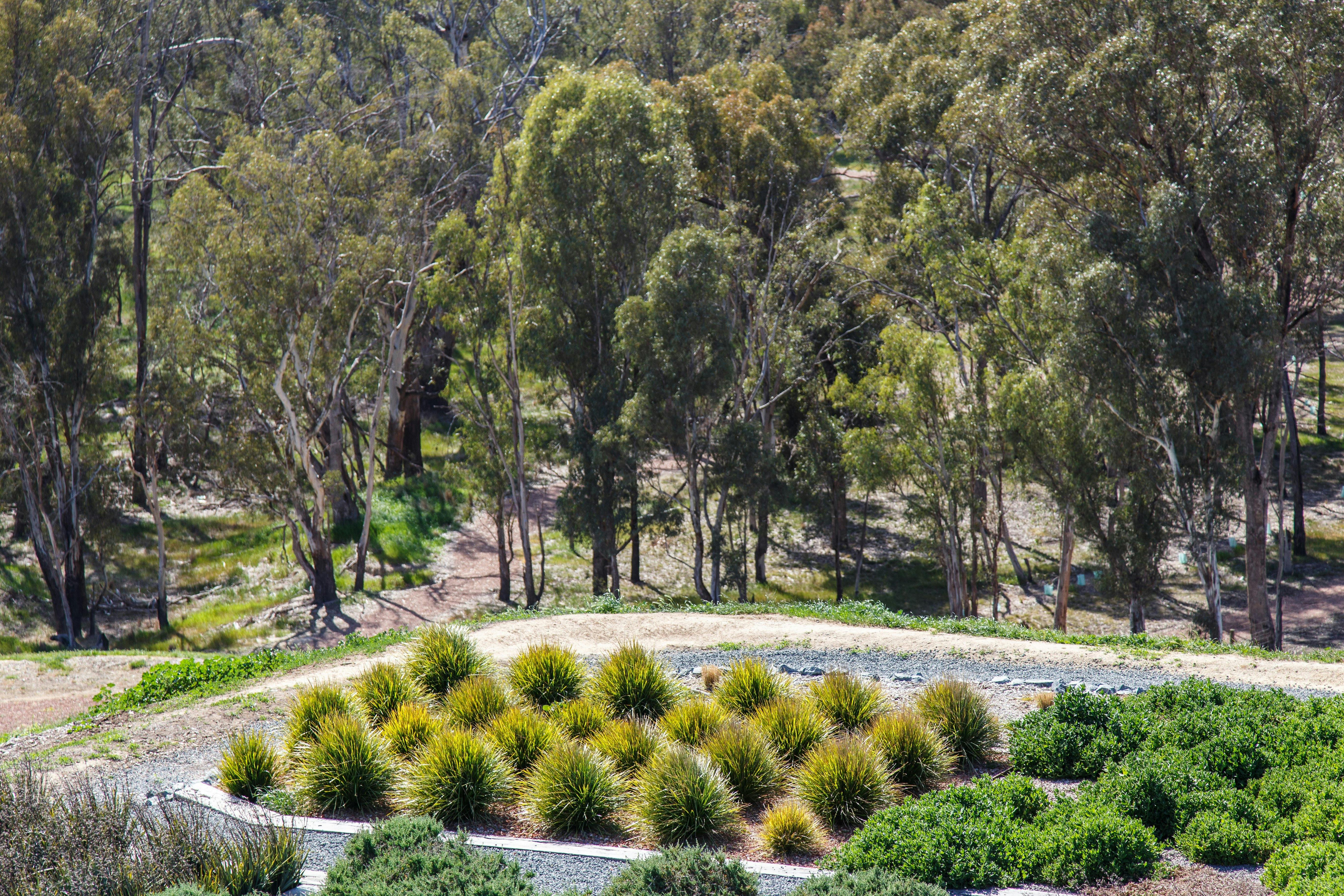 Australian Botanic Gardens Shepparton
