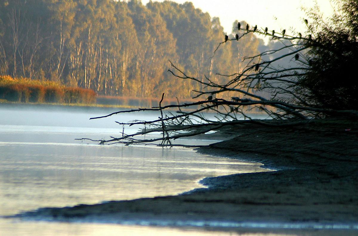 Barmah State Park