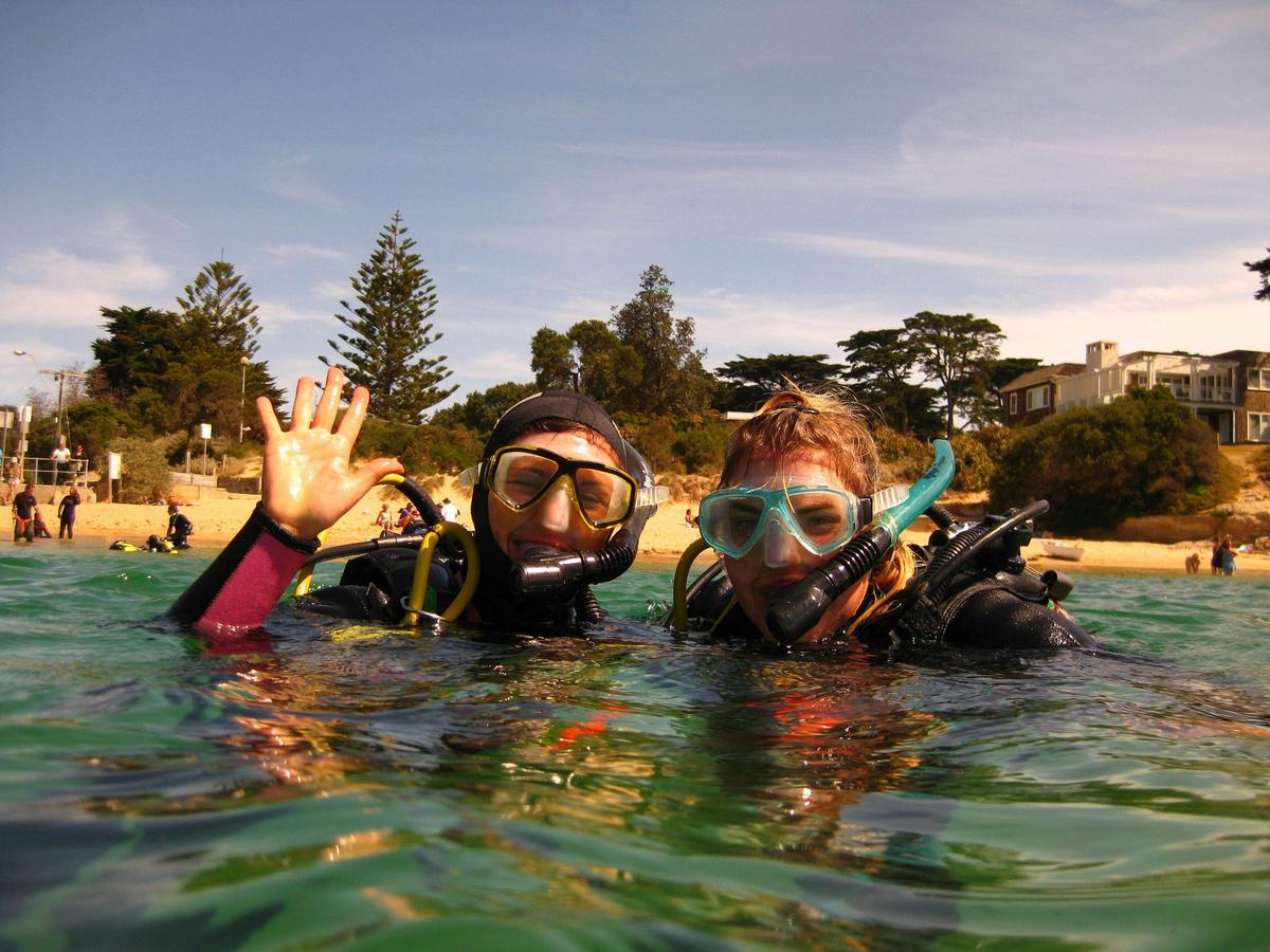 Guided Dives at the Fab 4