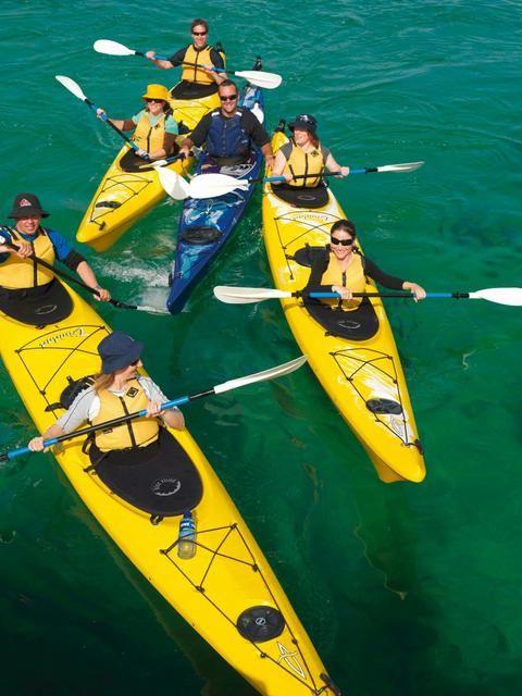 Sea Kayak - Dolphin Sanctuary