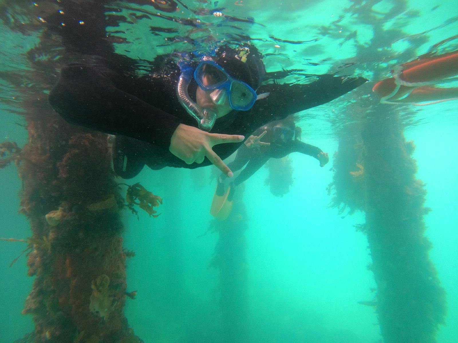 Snorkelling Portsea Pier