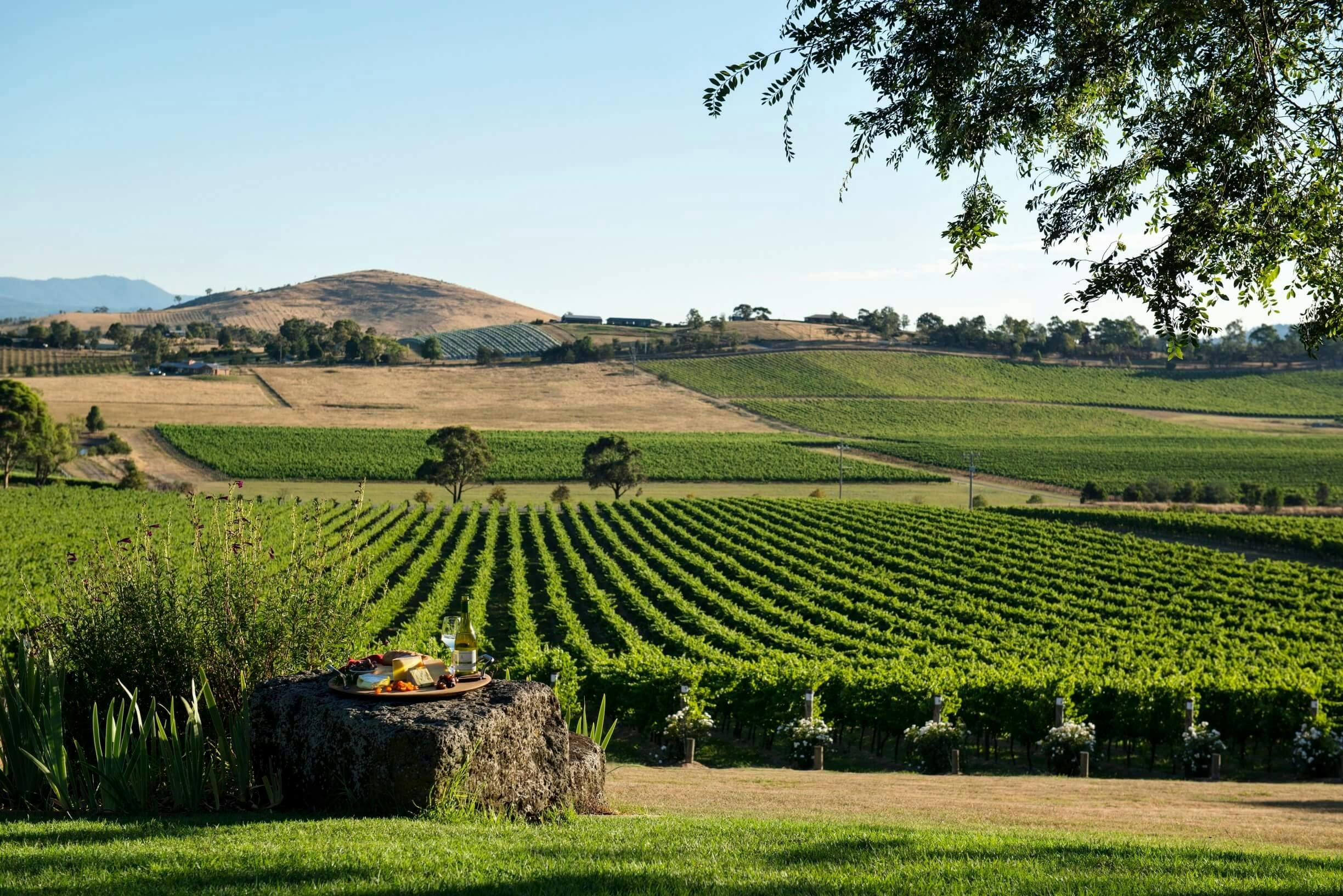 Yarra Valley wineries