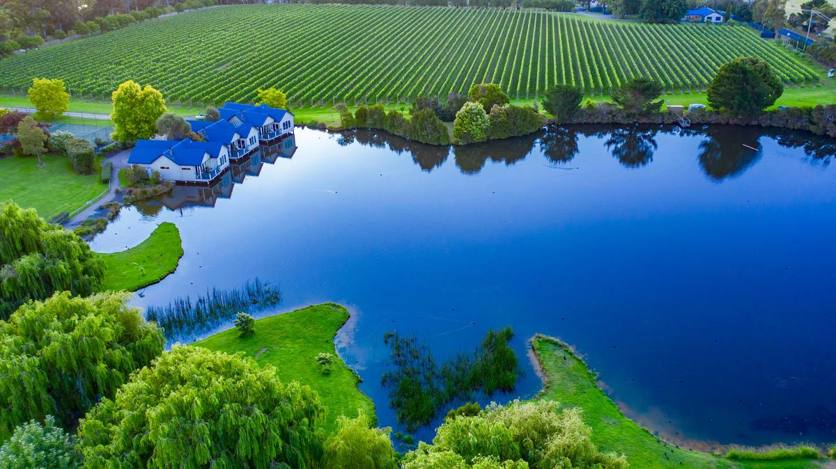 Aerial Photo Crittenden Estate vineyard