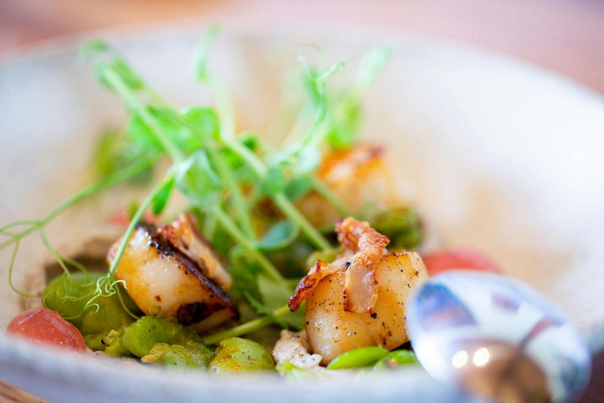 pan fried scallops - The Cups Estate Chef Selection (Menu item at time of Photograph)