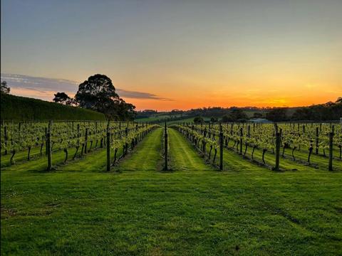 Mornington Peninsula Classic Wine Adventure - Pier 10