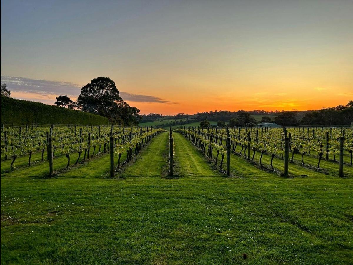 Mornington Peninsula Classic Wine Adventure - Pier 10