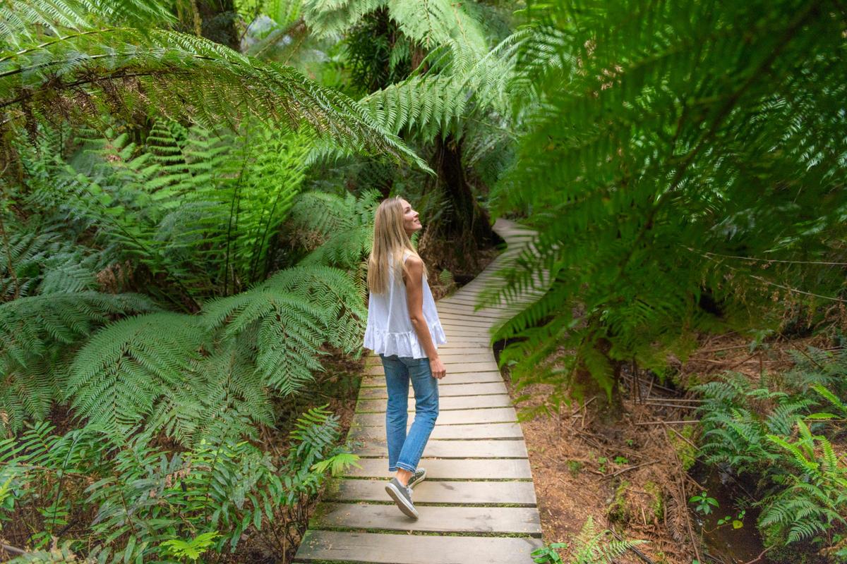 Great Otway's, Great Ocean Road