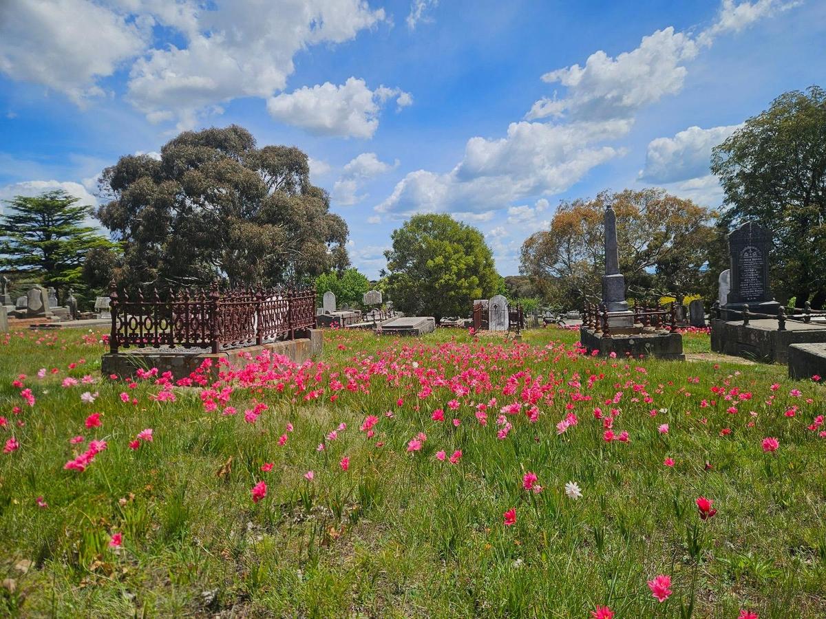 Ballarat New Cemetery 1