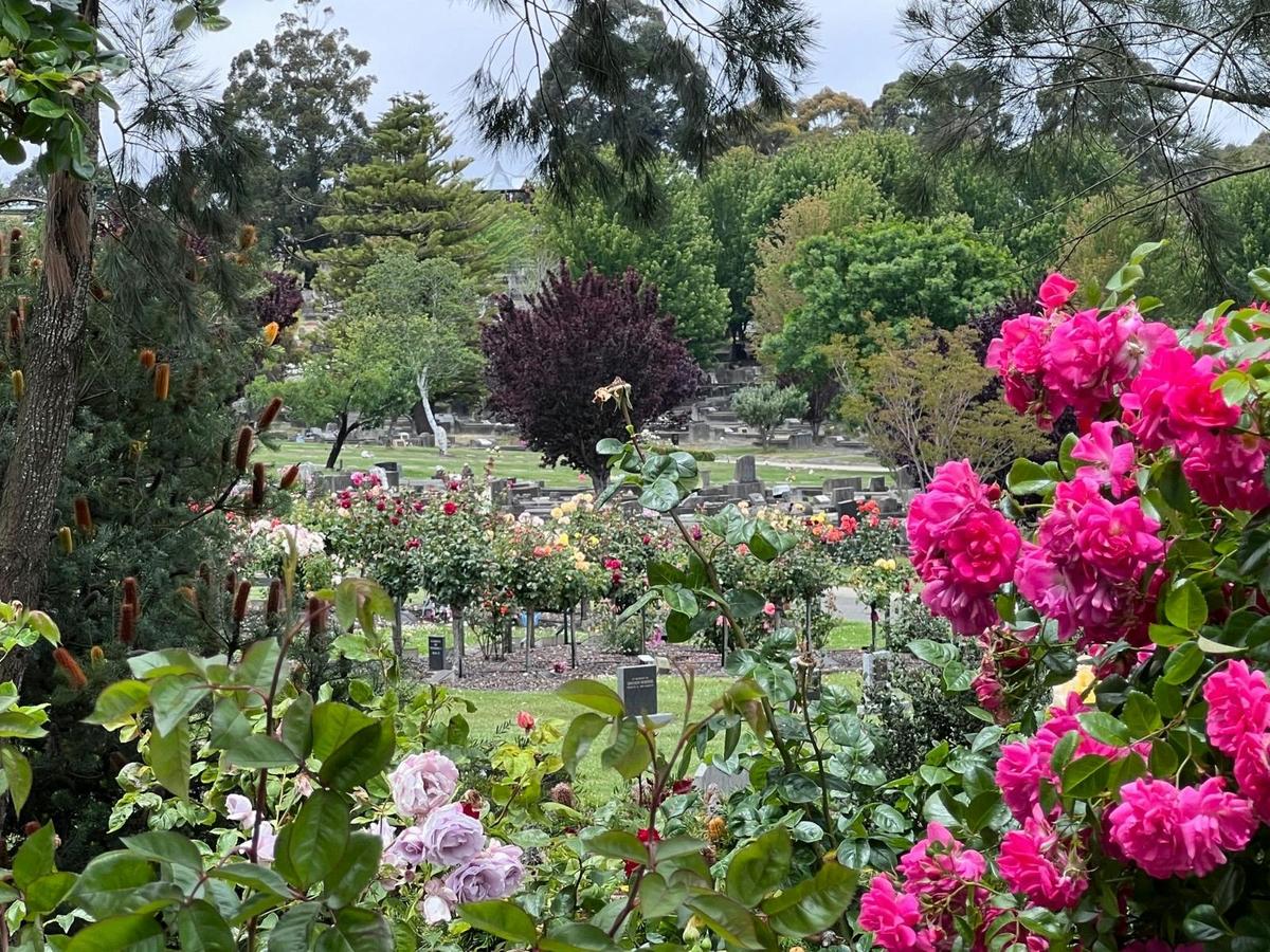Ballarat New Cemetery 2