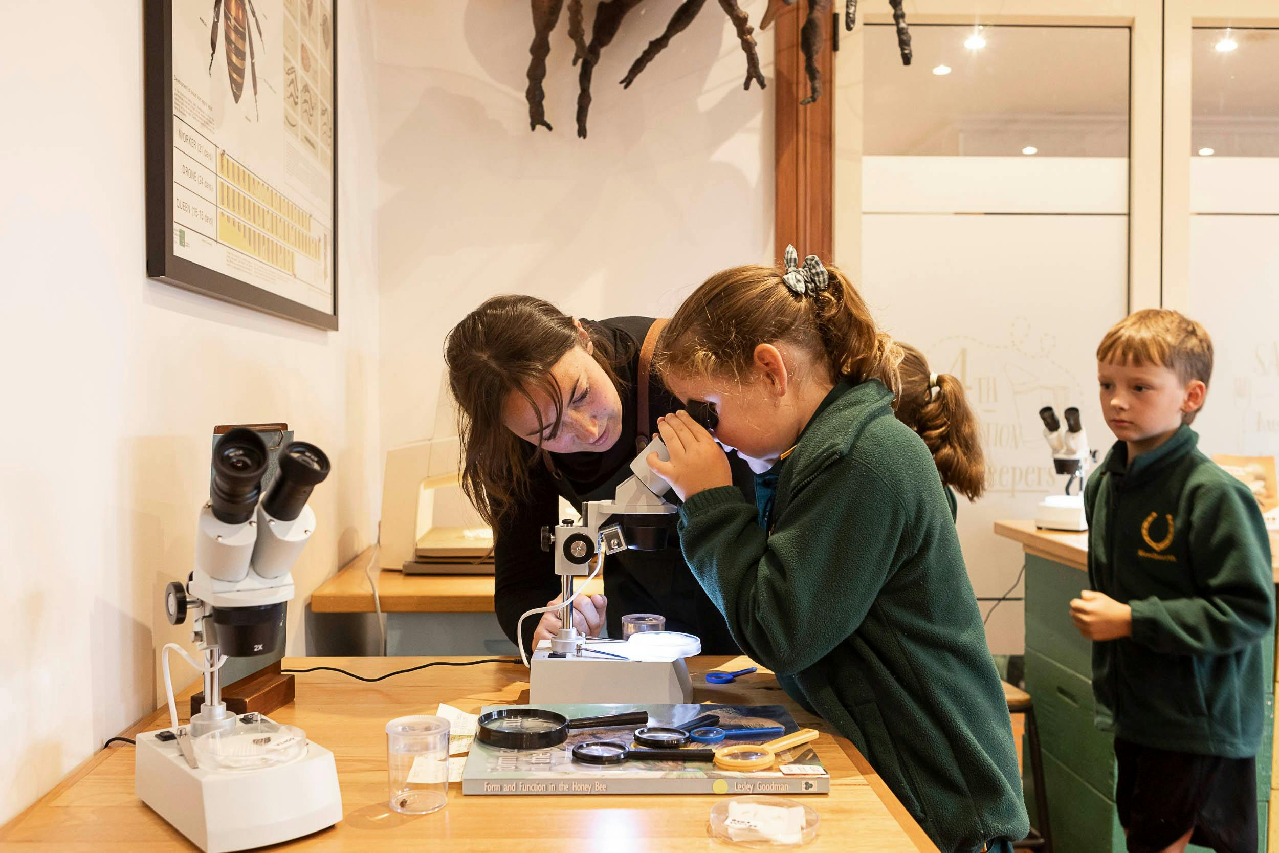 Learn about bee biology