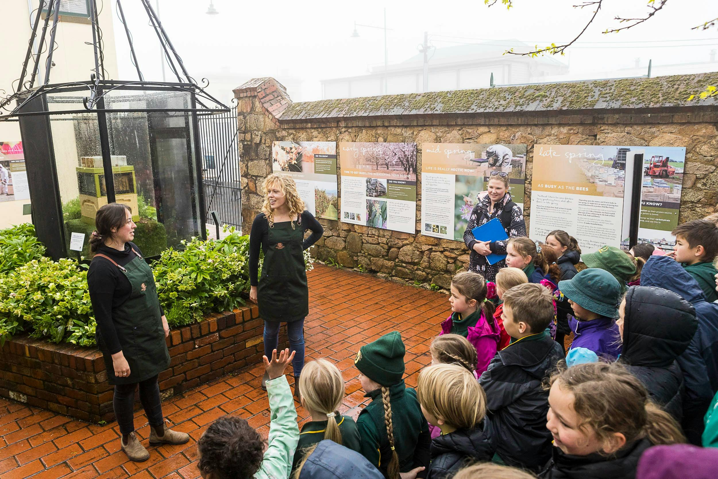 Bee School by Beechworth Honey Bee Garden and Interactive Bee Hive