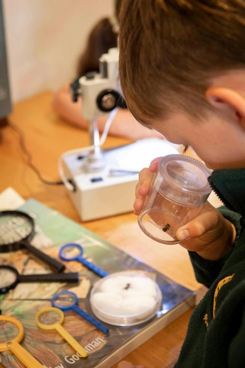 Bee School by Beechworth Honey