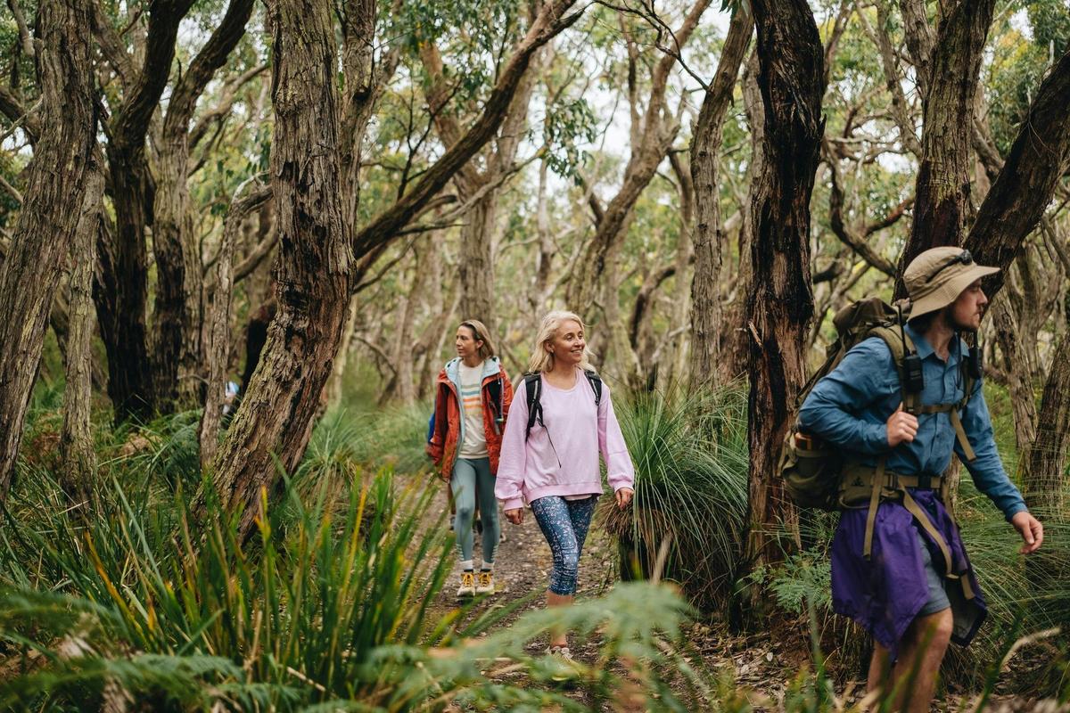 Great Ocean Road Long Weekend
