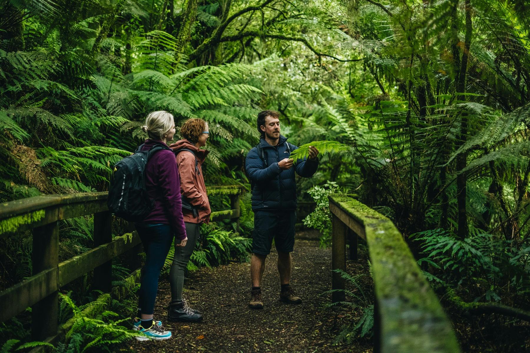 Twelve Apostles Signature Walk