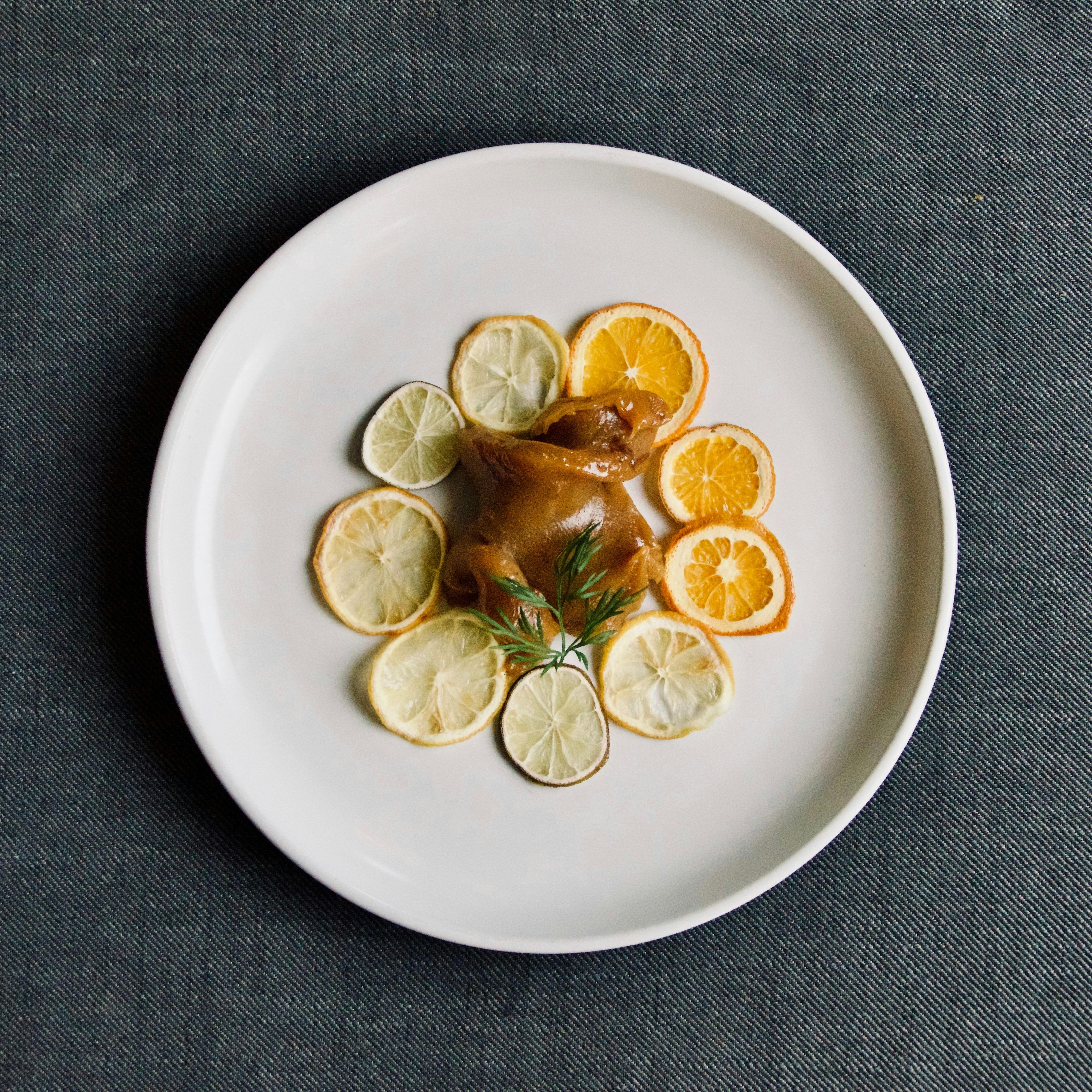 house made fudge with citrus crisps
