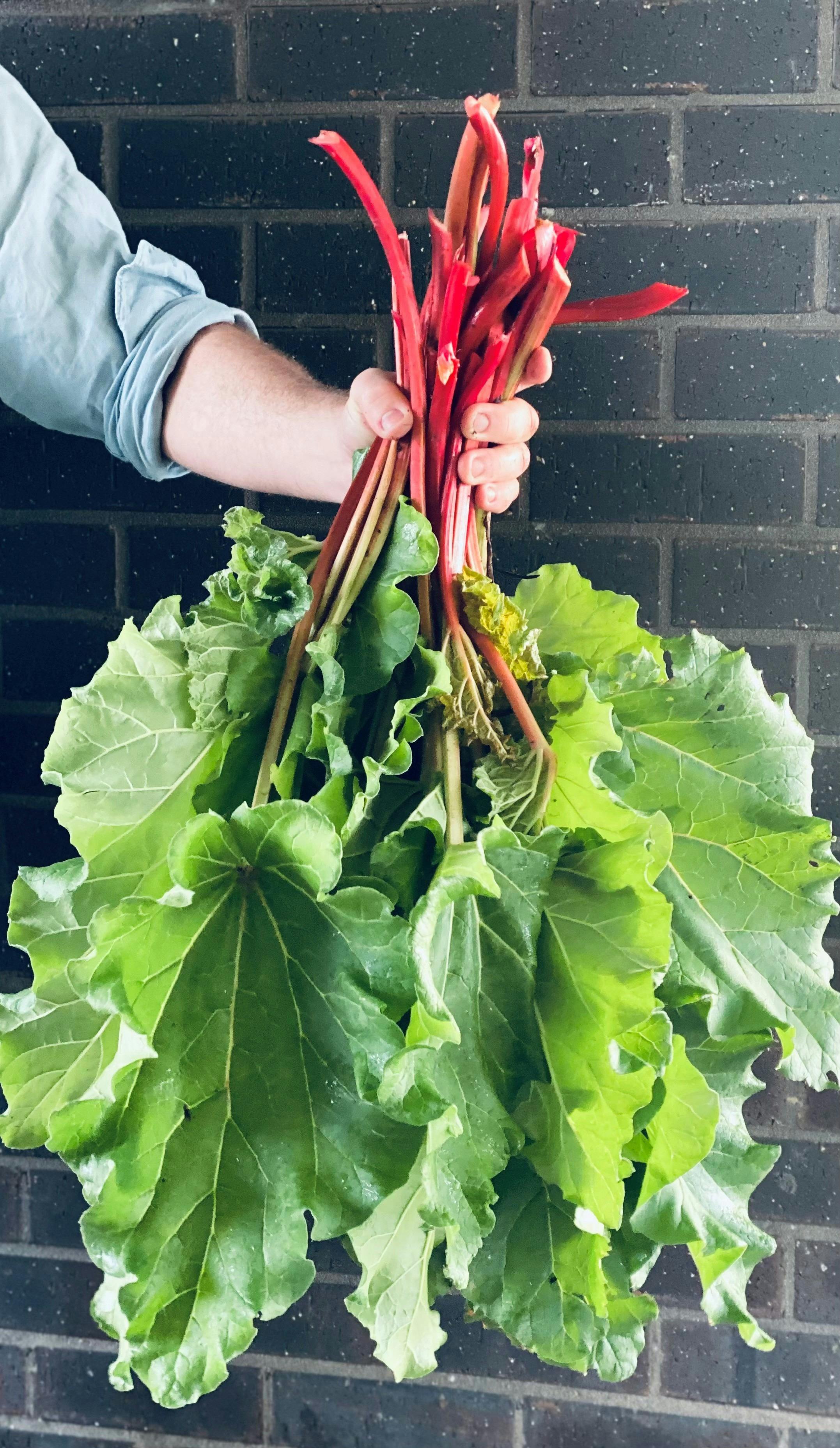 from our garden to your plate