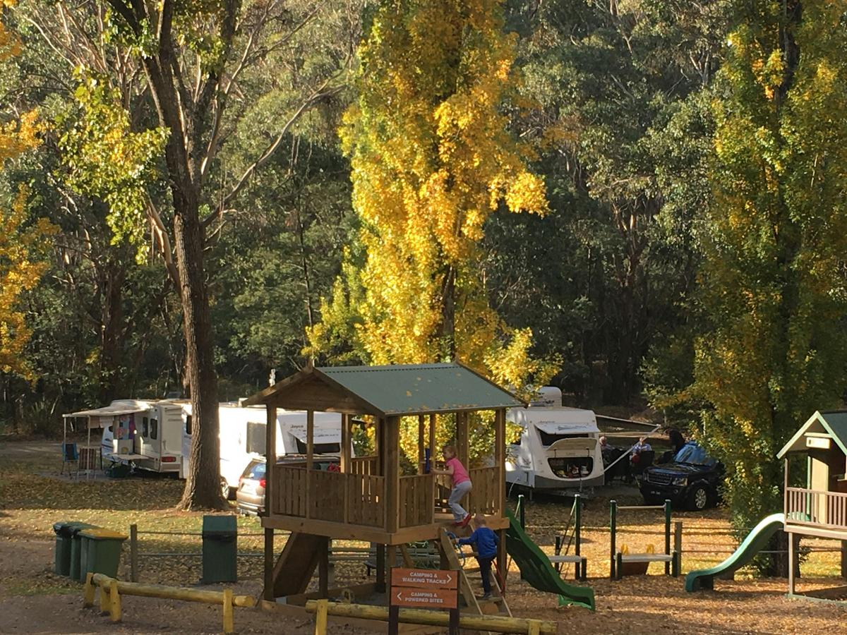 Powered sites on Grass near Playground