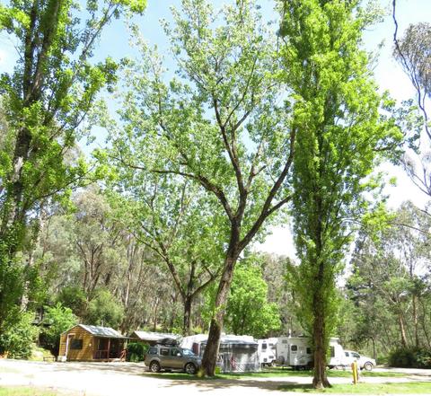 Beechworth Holiday Park