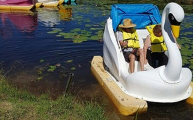 Granties Maze and Fun Park