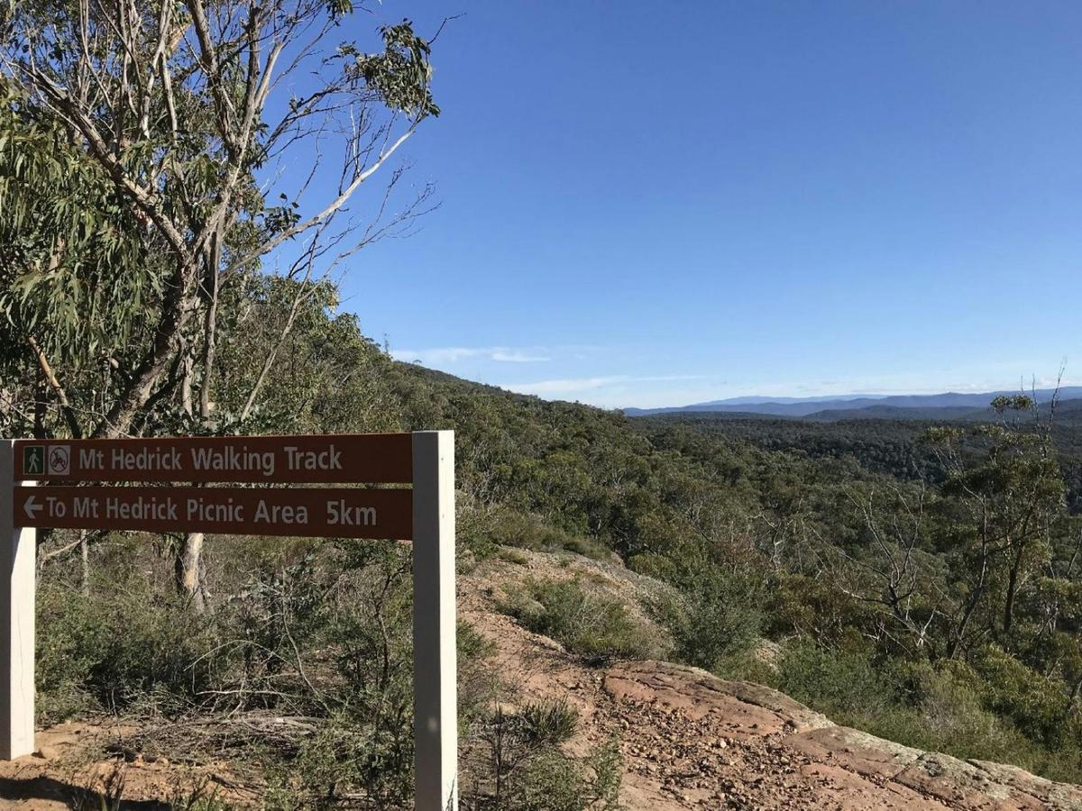 Avon Mt Hedrick Scenic Reserve