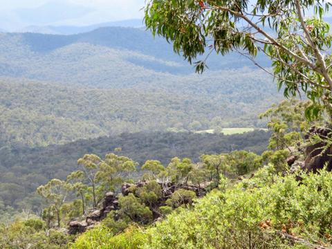 Avon Mt Hedrick Scenic Reserve