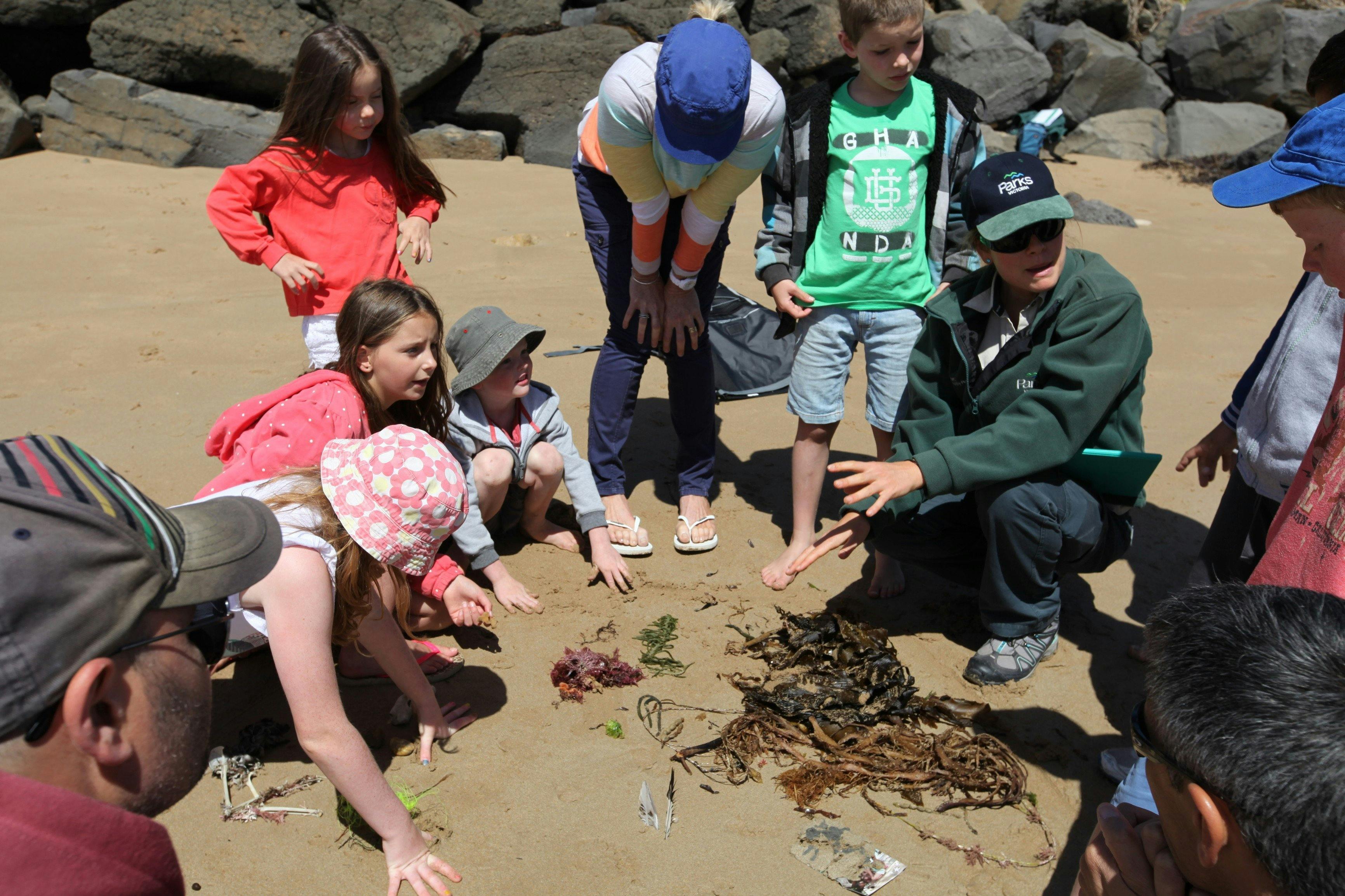 Barwon Bluff Marine Sanctuary