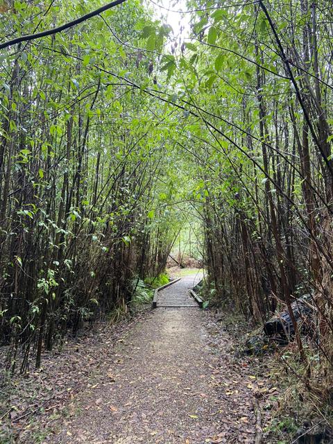 Beauty Spot Nature Trail