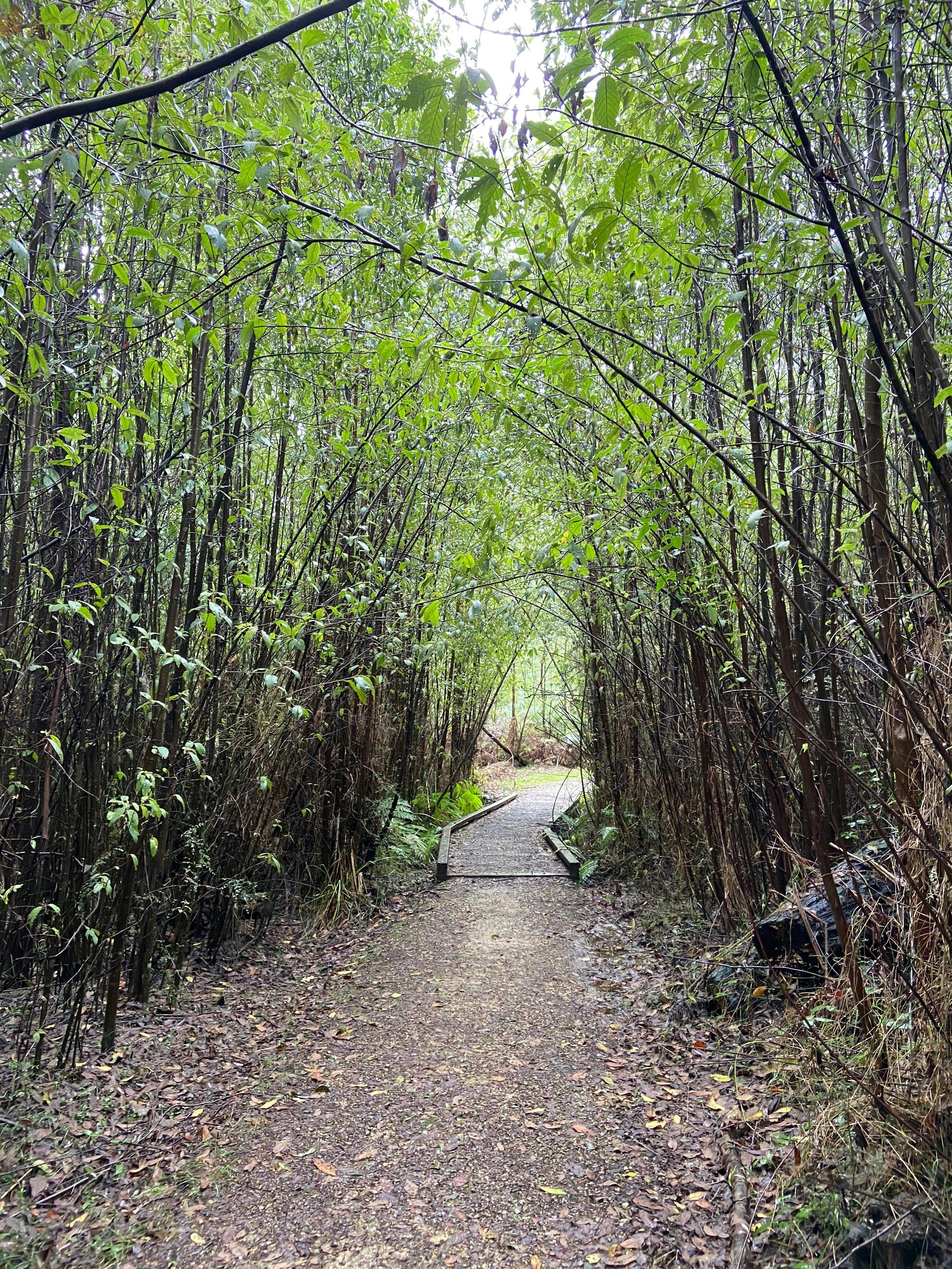 Beauty Spot Nature Trail