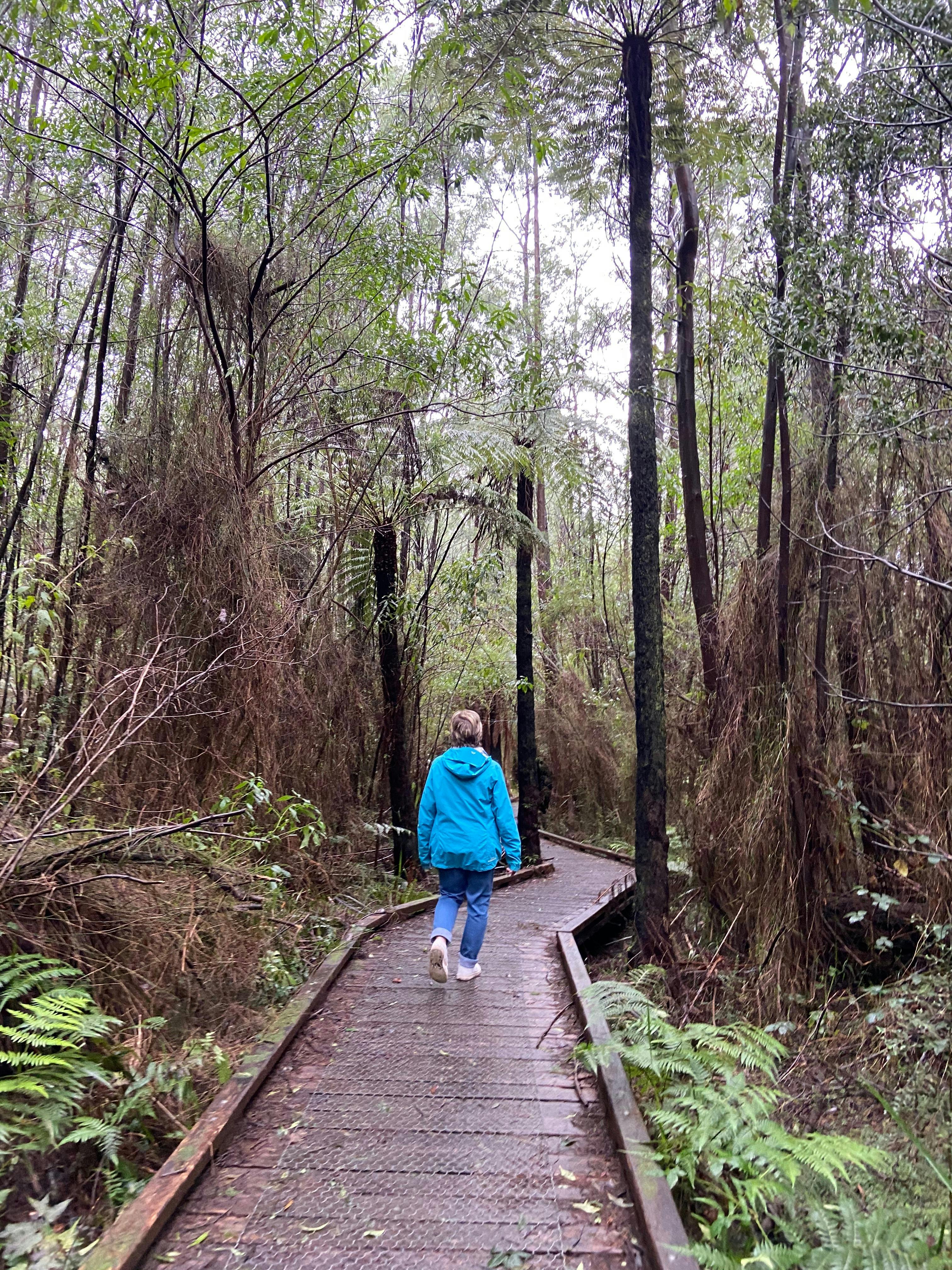 Beauty Spot Nature Trail