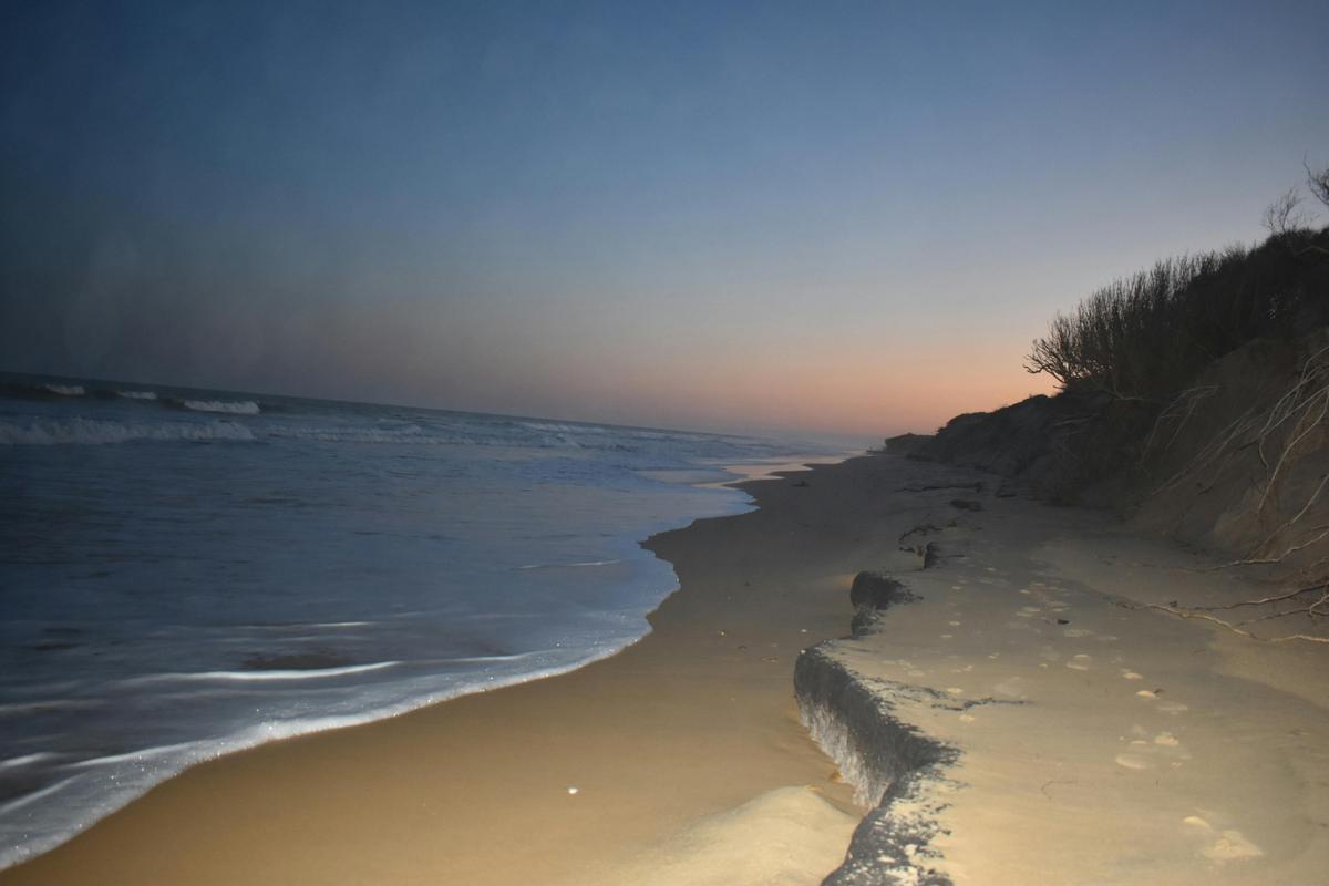 McGauren Beach