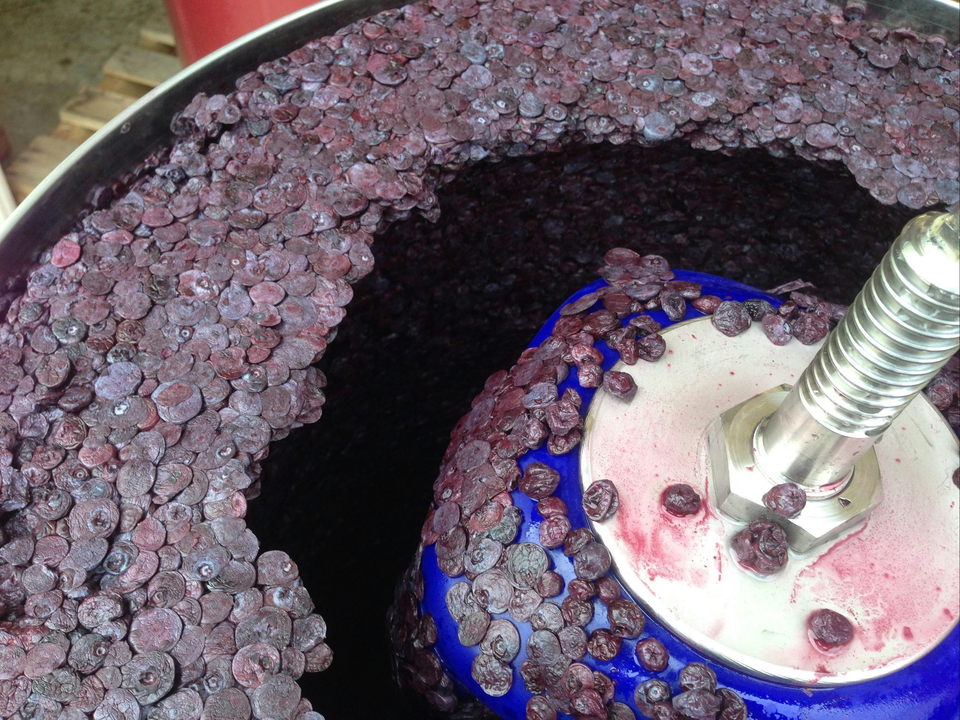 Pressed blueberry skins