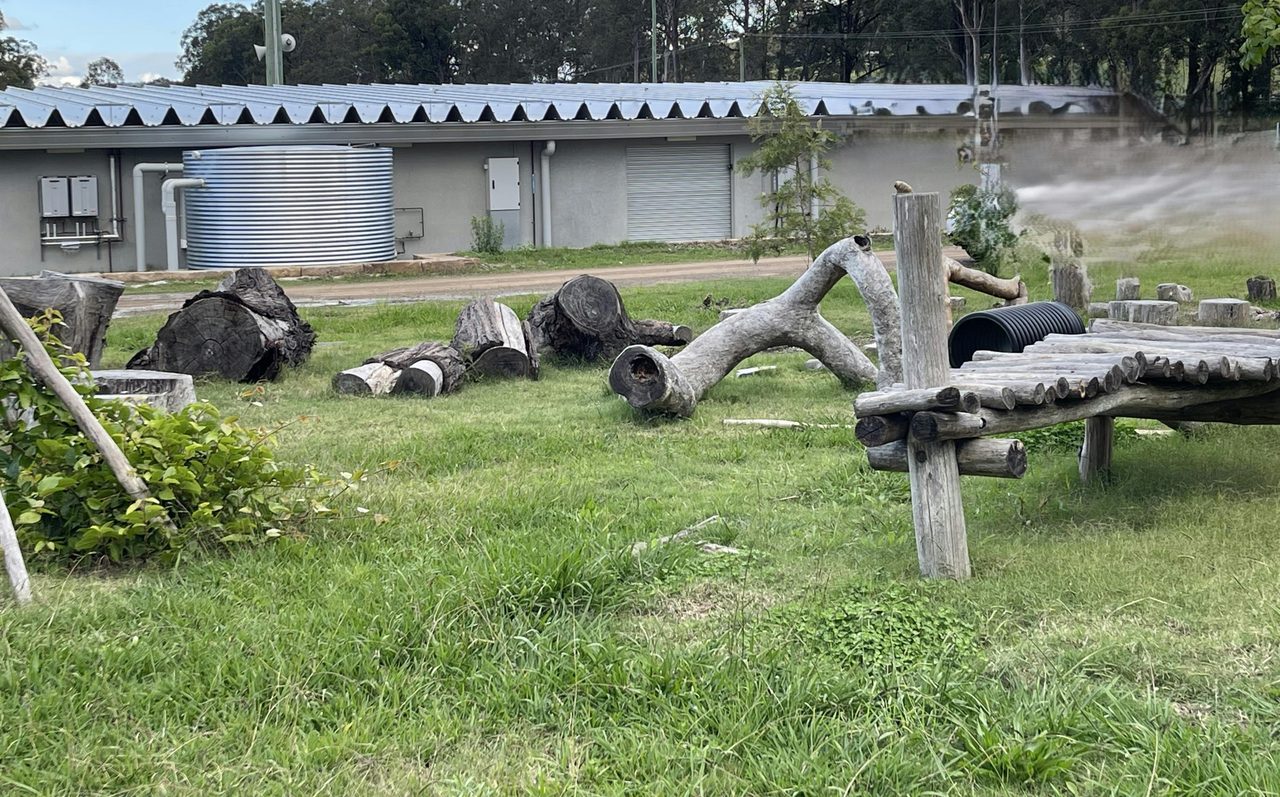 Natural Sculptures