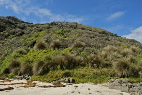 Bemm River Scenic Reserve
