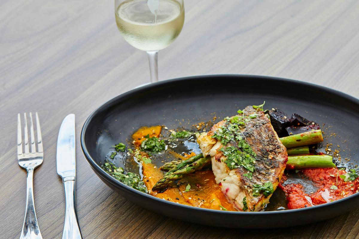 Barramundi