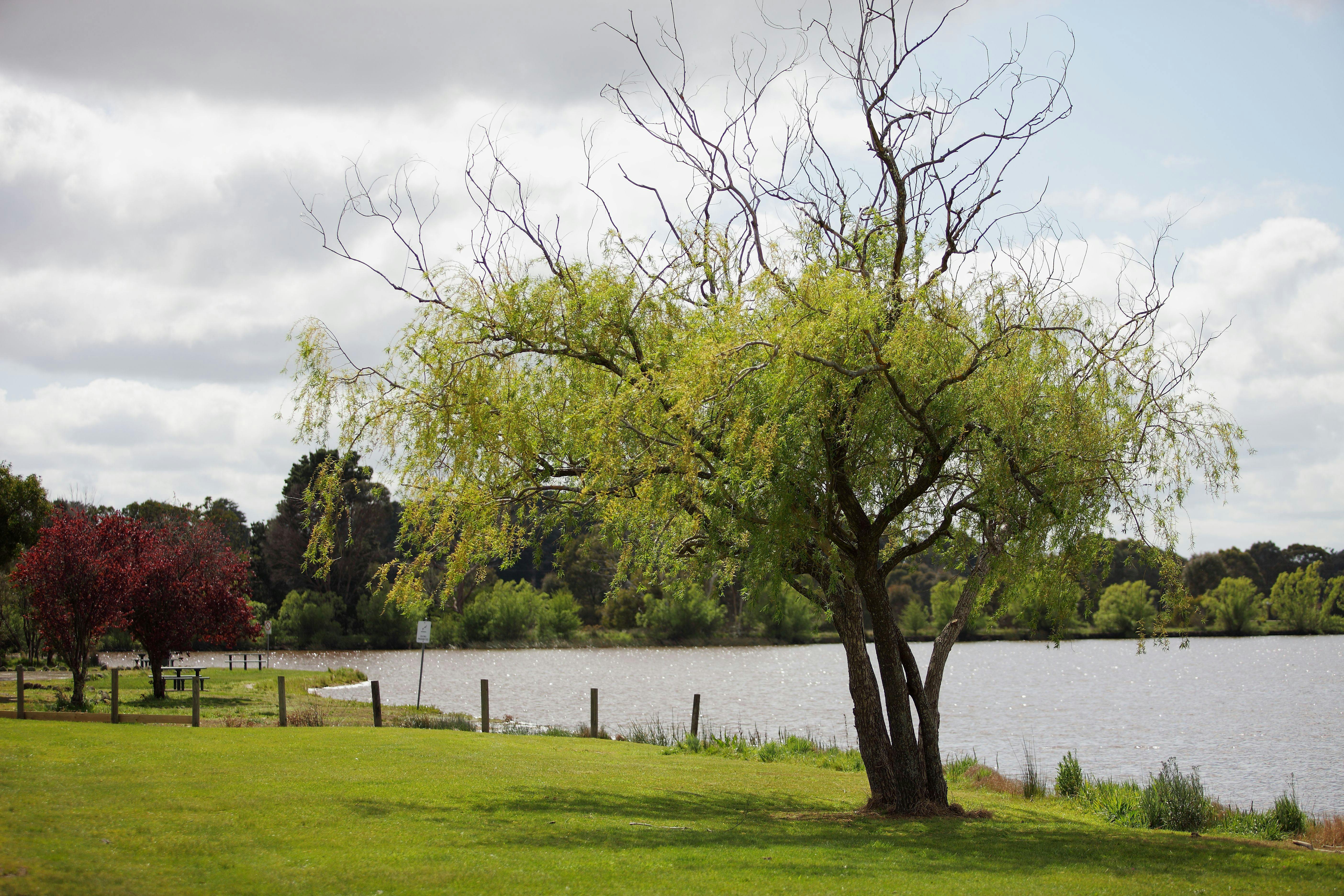 Beaufort Lake Caravan Park