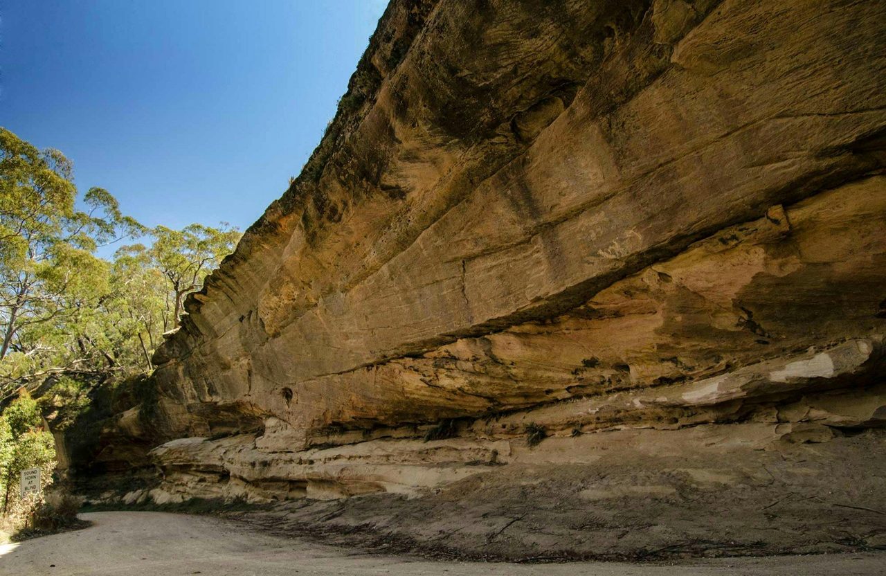 World Heritage Drive, Nattai National Park. Photo: Johh Spencer