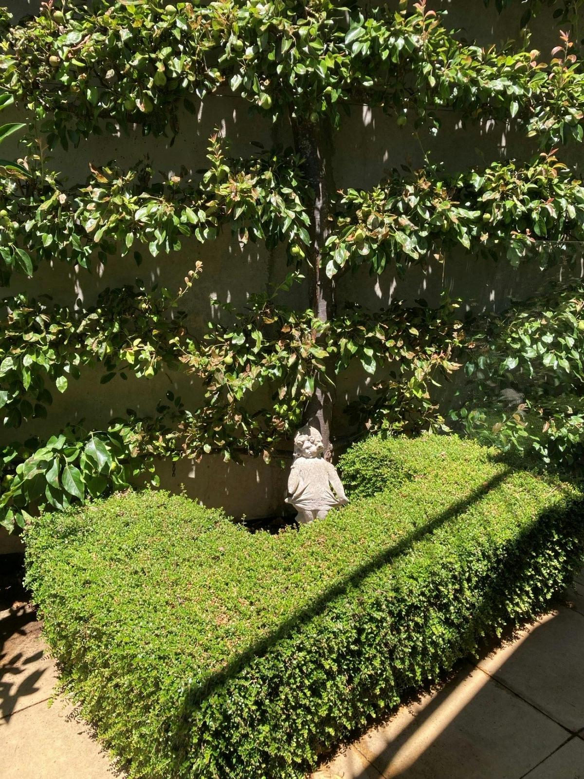 a trimmed hedge with a stone figurine